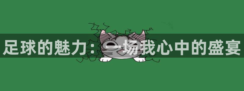 赢点体育直播919体育直播：足球的魅力：一场我心中的盛宴