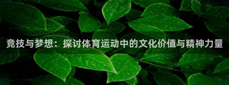 919体育赛事直播在线观看：竞技与梦想：探讨体育运动中的文化价值与精神力量