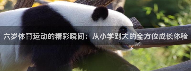 919体育直播官网：六岁体育运动的精彩瞬间：从小学到大的全方位成长体验